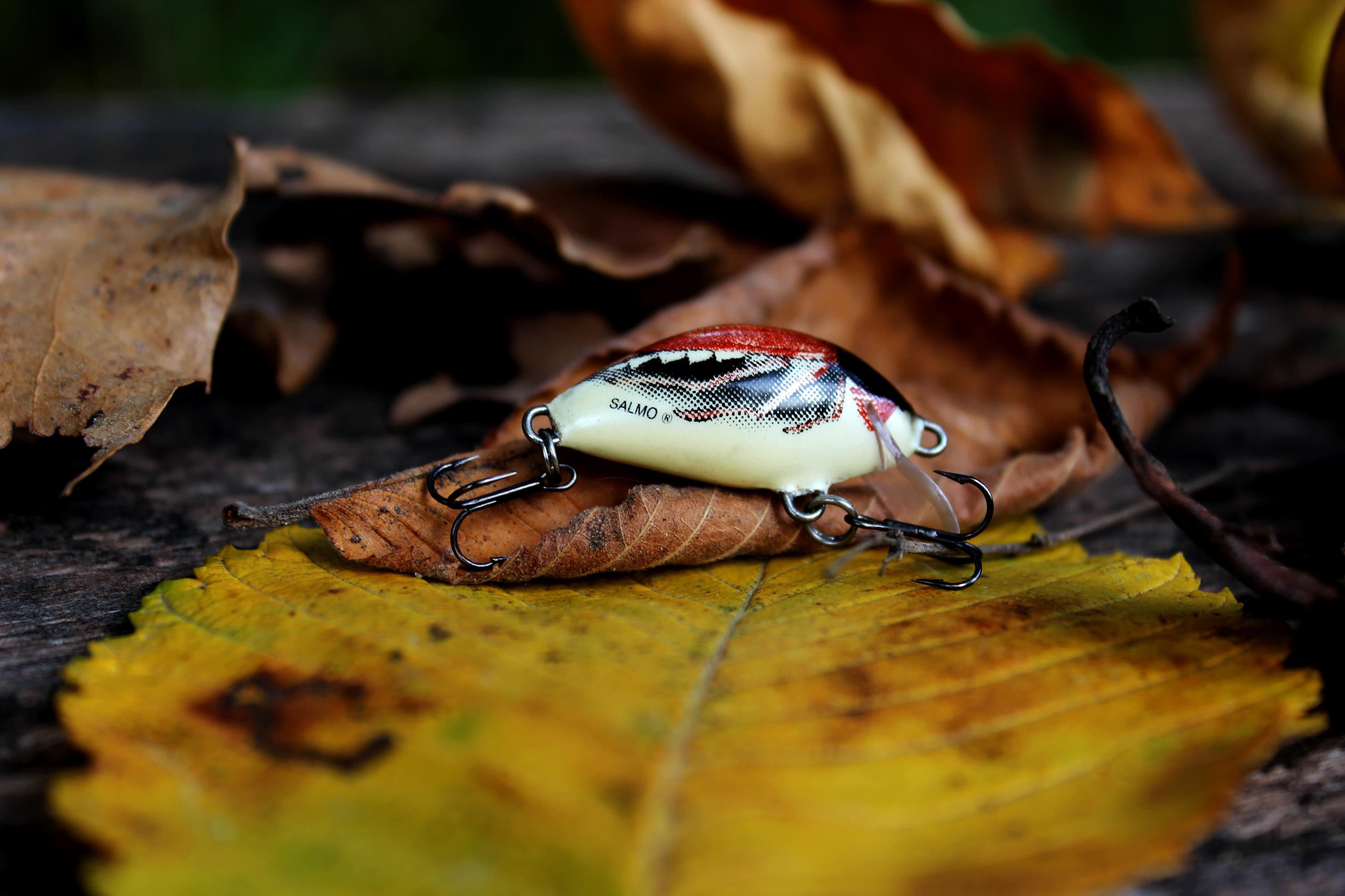 salmo hornet - Śląskie - sprawdź kategorię Wędkarstwo