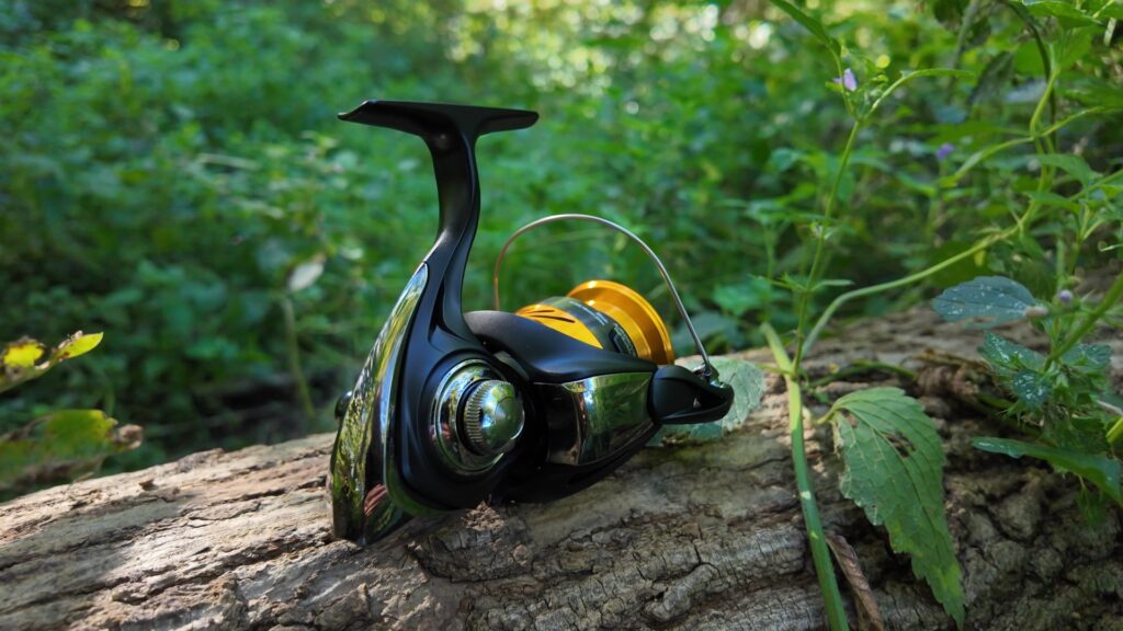 Daiwa LT BG