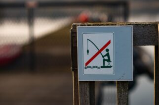 Zakaz wędkowania – kiedy, gdzie i co grozi za jego naruszenie?
